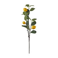 Yellow Three Lemon Stem Decor