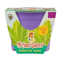 Buzzy Seeds My First Garden Kit, Assorted Plants