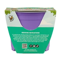 Buzzy Seeds My First Garden Kit, Assorted Plants