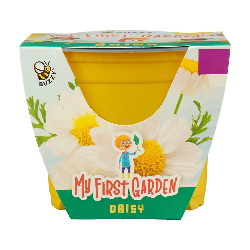 Buzzy Seeds My First Garden Kit, Assorted Plants