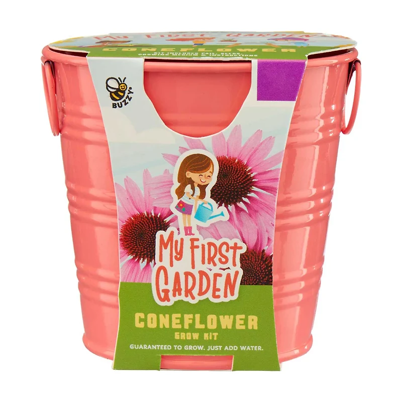 Buzzy My First Garden Coneflower Grow Kit