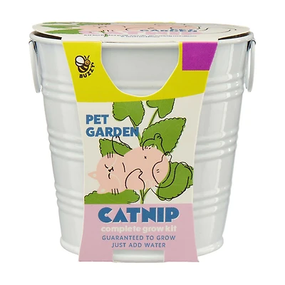 Buzzy Pet Garden Catnip Grow Kit