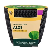 Buzzy Complete Grow Kit, Assorted Plants