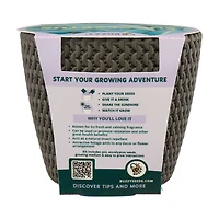 Buzzy Complete Grow Kit, Assorted Plants