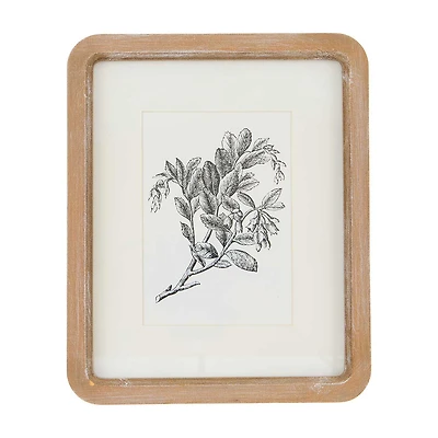 Framed Botanical Wall Art