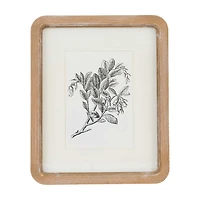 Framed Botanical Wall Art