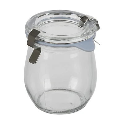 Mini Clear Glass Storage Canister with Clamp Lid