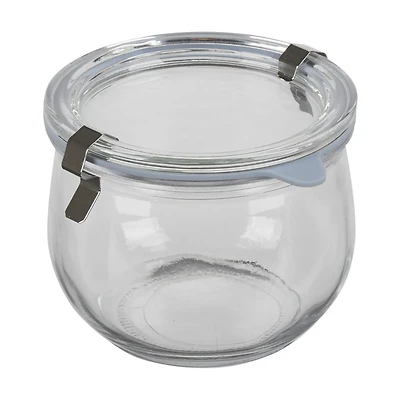 Small Glass Storage Canister with Clamp Lid