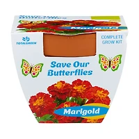 Terra Cotta Grow Kit, 1 ct, Assorted