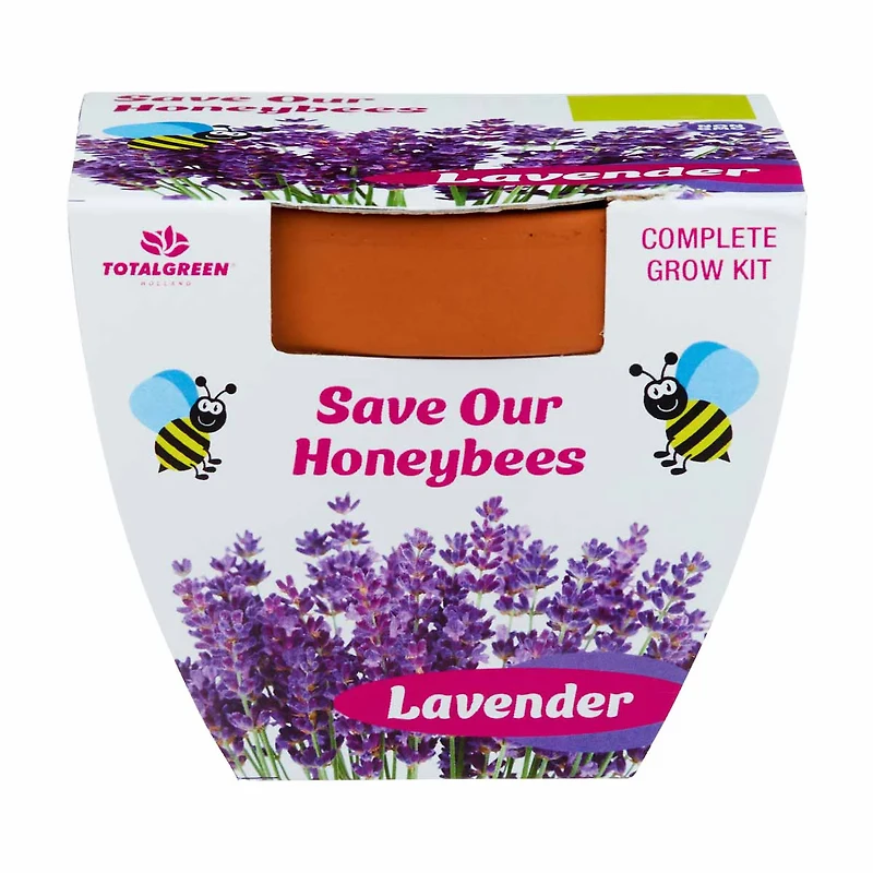 Terra Cotta Grow Kit, 1 ct, Assorted