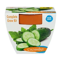 Terra Cotta Grow Kit, 1 ct, Assorted