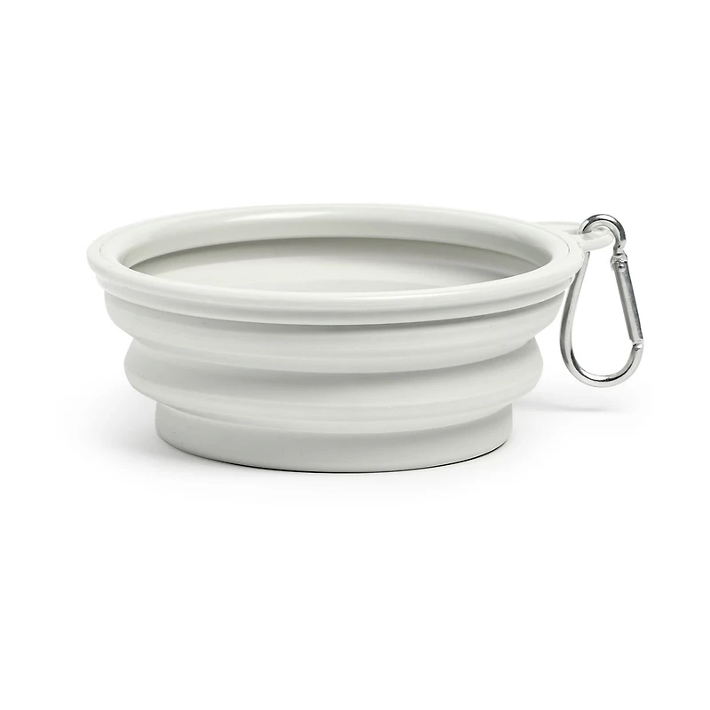 Friendli Plastic Collapsible Bowl, 12oz
