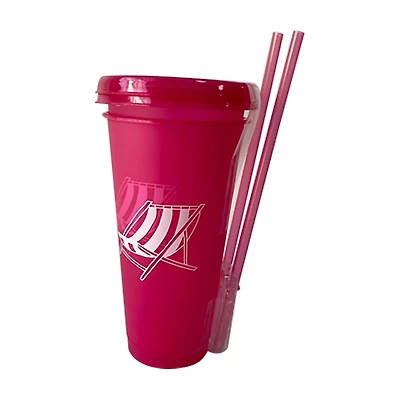 Pink Plastic Tumblers with Straw and Lid, 2 pk