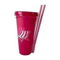 Pink Plastic Tumblers with Straw and Lid, 2 pk