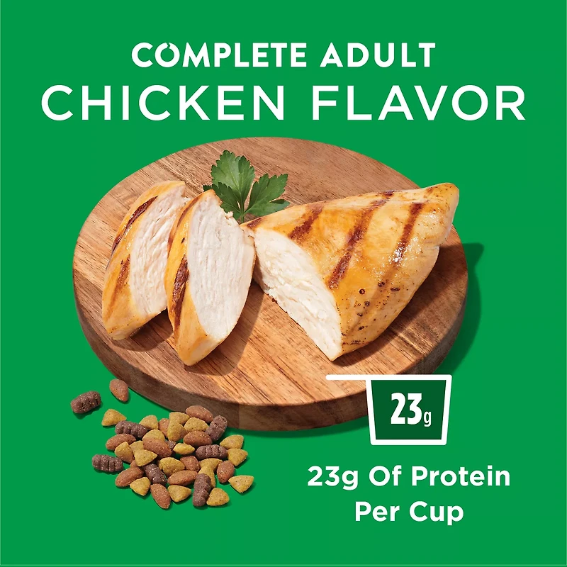 Purina Dog Chow Complete Adult Dry Dog Food Kibble With Chicken Flavor