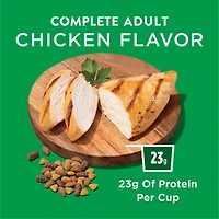 Purina Dog Chow Complete Adult Dry Dog Food Kibble With Chicken Flavor