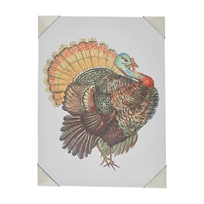 Holly Williams Fall Rectangular Turkey Canvas Décor, 18x24 in