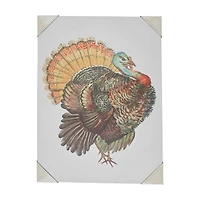 Holly Williams Fall Rectangular Turkey Canvas Décor, 18x24 in