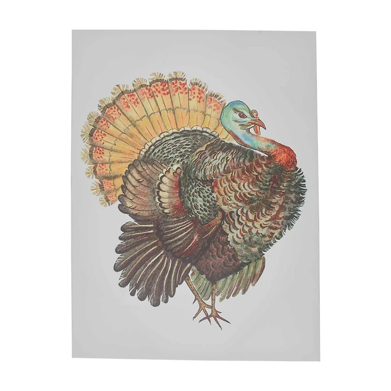 Holly Williams Fall Rectangular Turkey Canvas Décor, 18x24 in