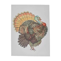 Holly Williams Fall Rectangular Turkey Canvas Décor, 18x24 in