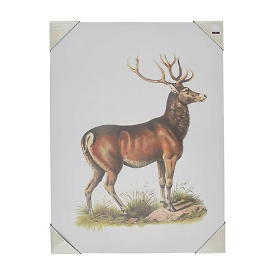Holly Williams Fall Rectangular Deer Canvas Décor, 18x24 in