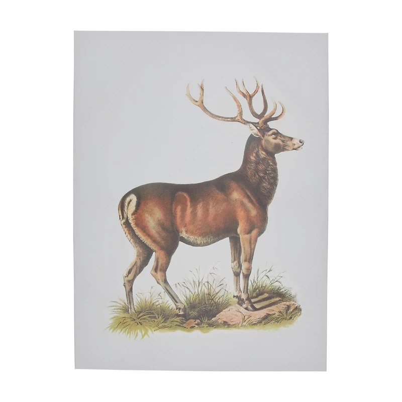 Holly Williams Fall Rectangular Deer Canvas Décor, 18x24 in