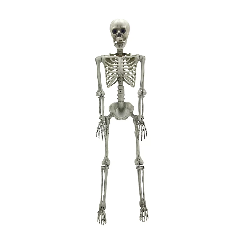Halloween White Plastic Poseable Skeleton, 60 in