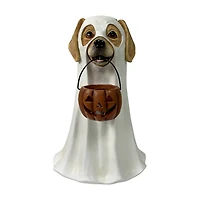 Ghost Dog with Light-Up Jack-O'-Lantern Decor