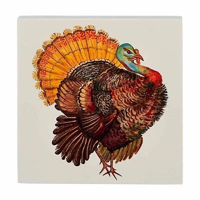Holly Williams Fall Turkey Printed Word Block Décor