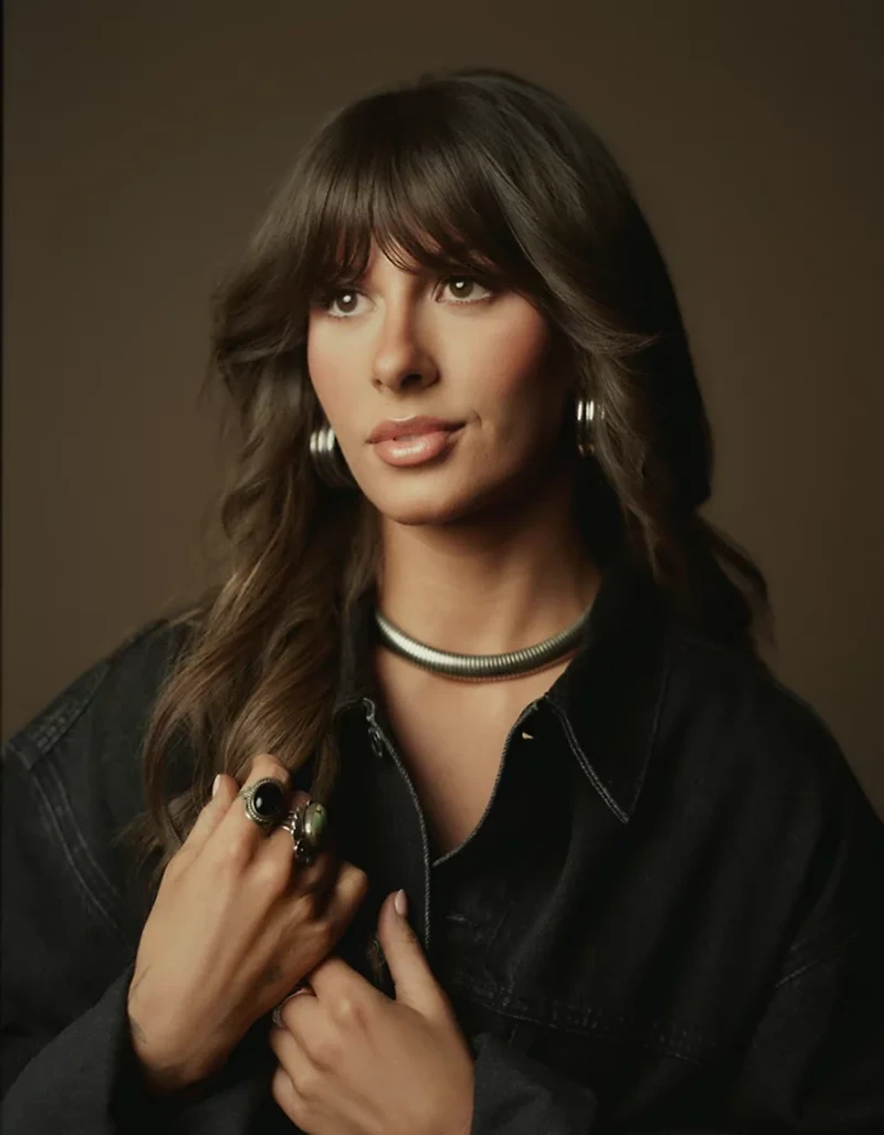 AE Denim Trucker Jacket