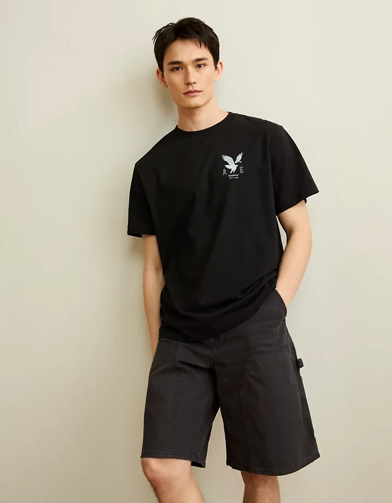 AE Standard Fit Logo Graphic T-Shirt