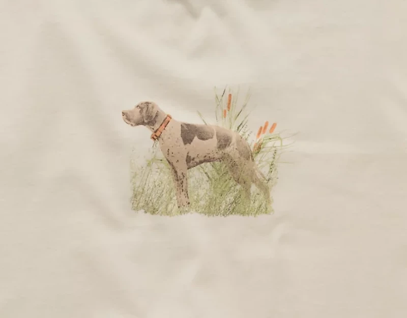 AE Graphic T-Shirt