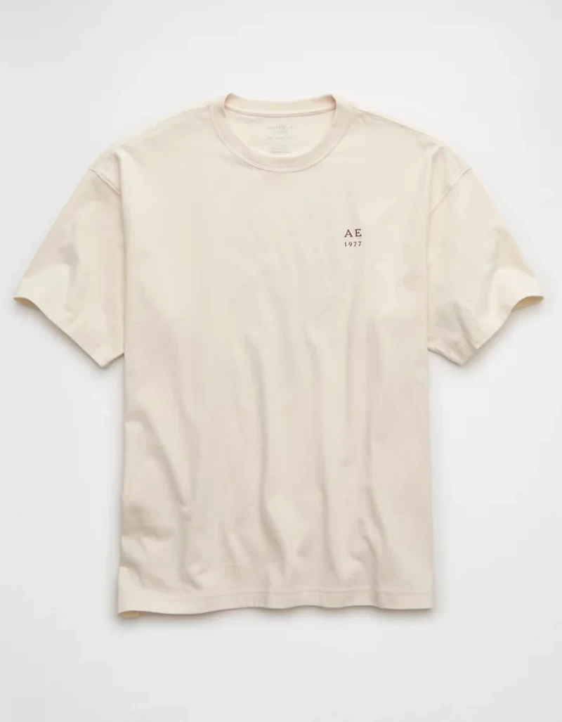 AE Boxy Destination Graphic T-Shirt