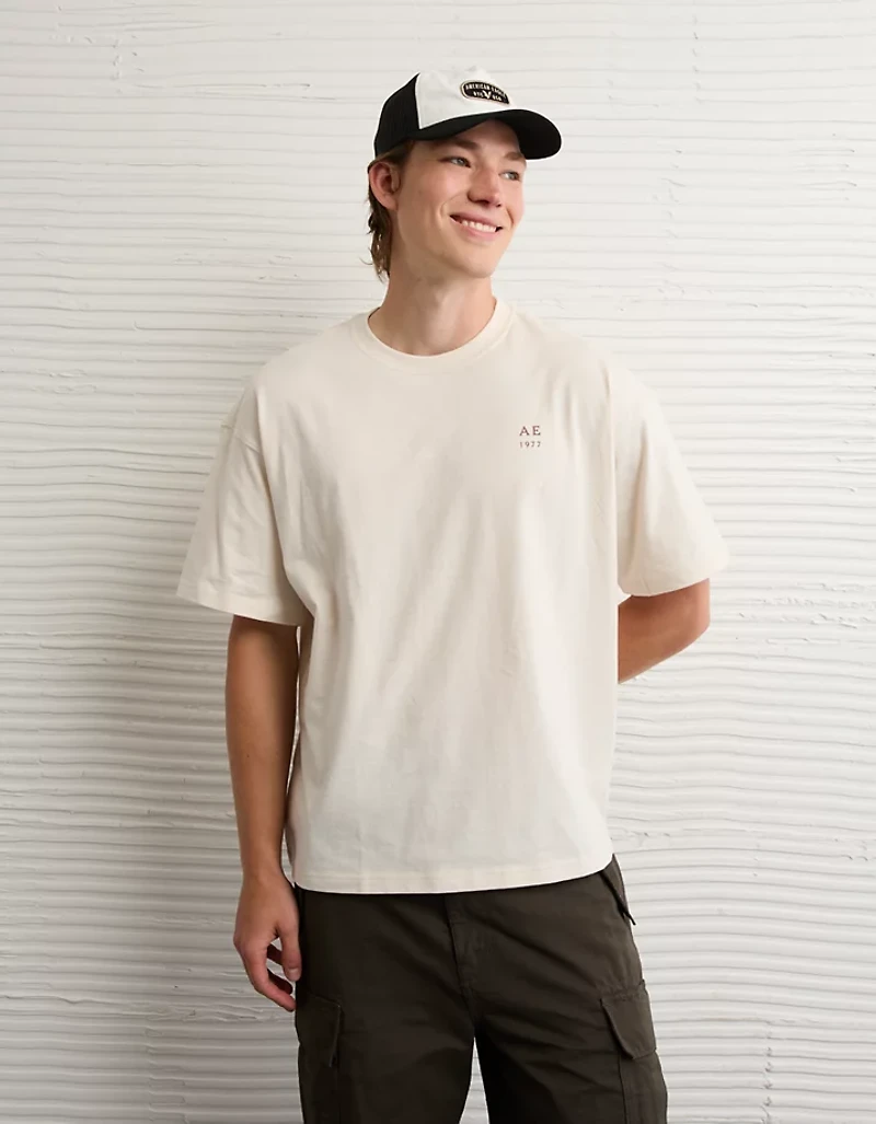 AE Boxy Destination Graphic T-Shirt