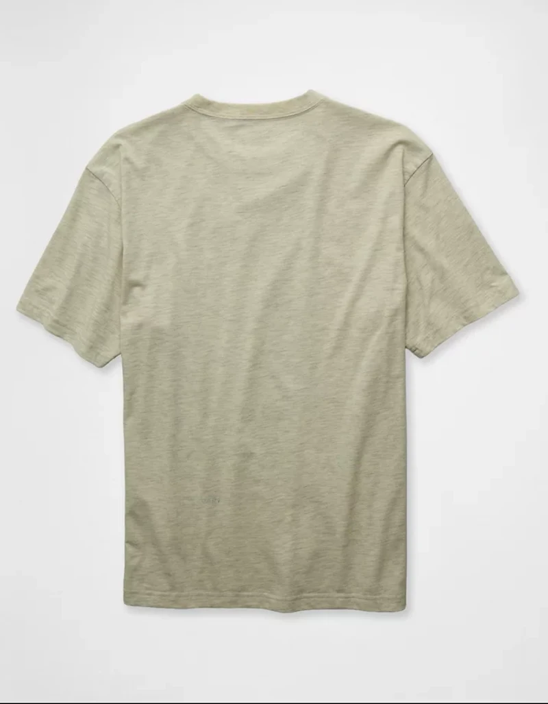 AE Standard Fit Logo Graphic T-Shirt