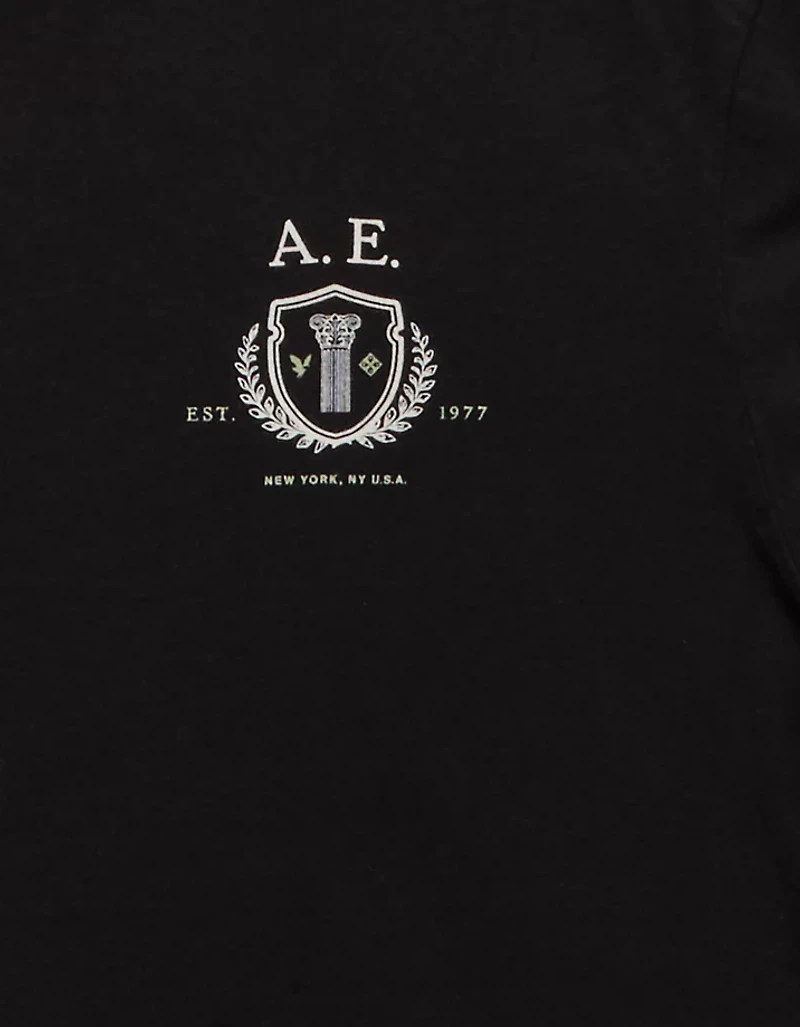 AE Logo Graphic T-Shirt