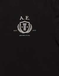 AE Logo Graphic T-Shirt