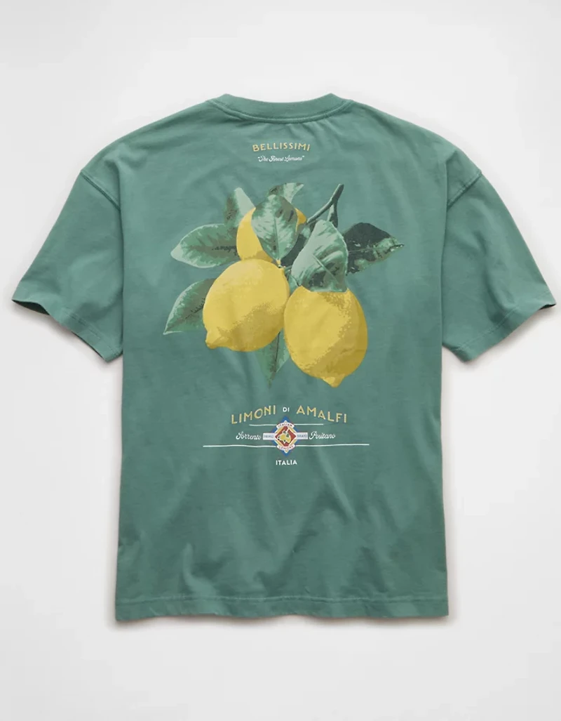 AE Boxy Destination Graphic T-Shirt