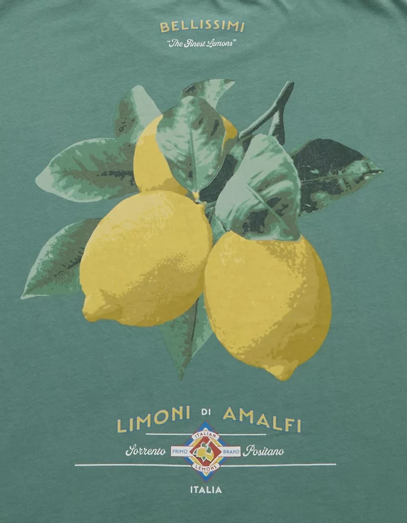 AE Boxy Destination Graphic T-Shirt