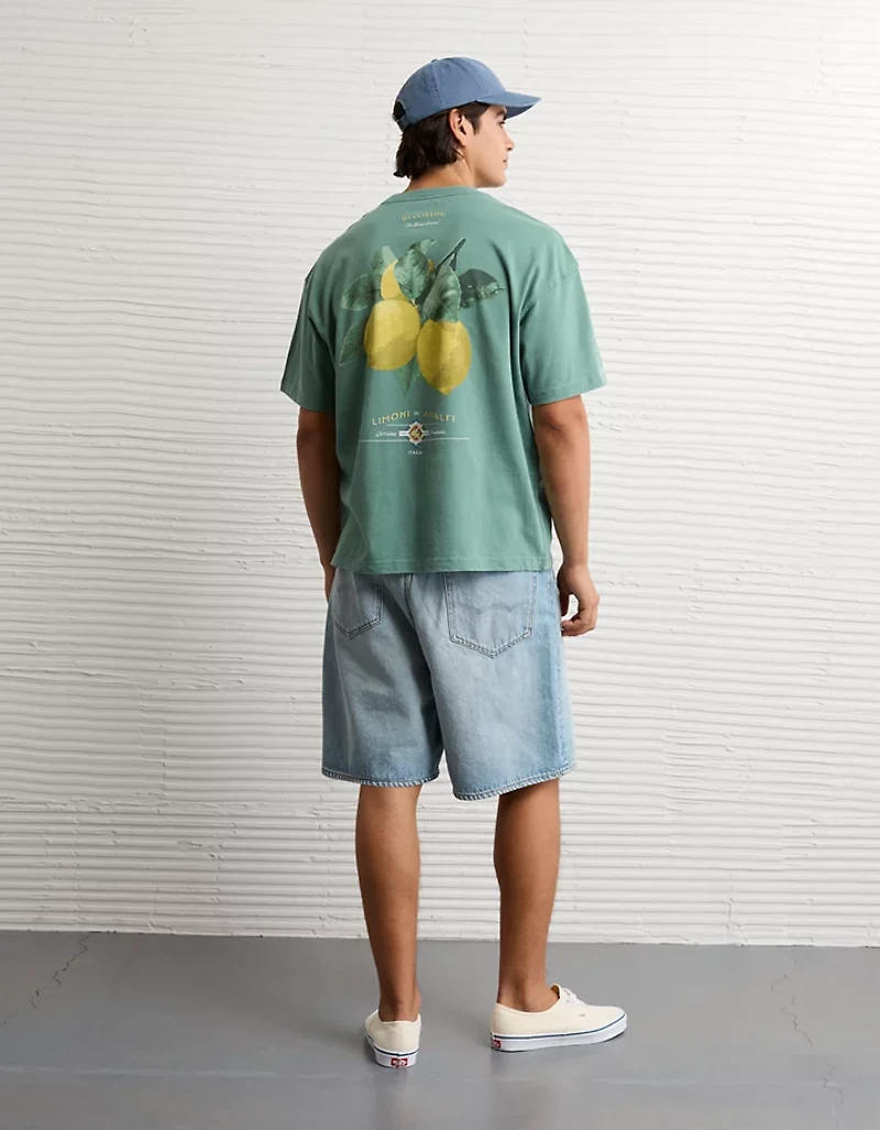 AE Boxy Destination Graphic T-Shirt