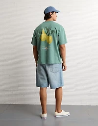 AE Boxy Destination Graphic T-Shirt