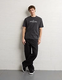 AE Standard Fit Graphic Logo T-Shirt