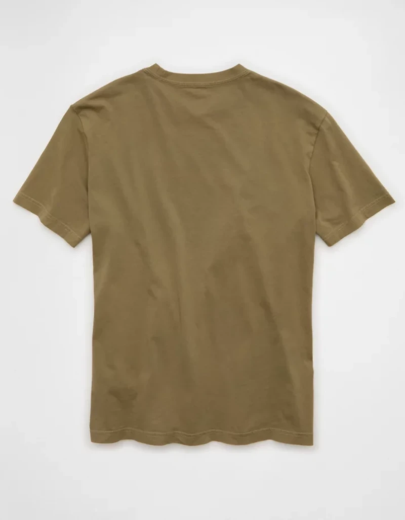 AE Logo Graphic T-Shirt