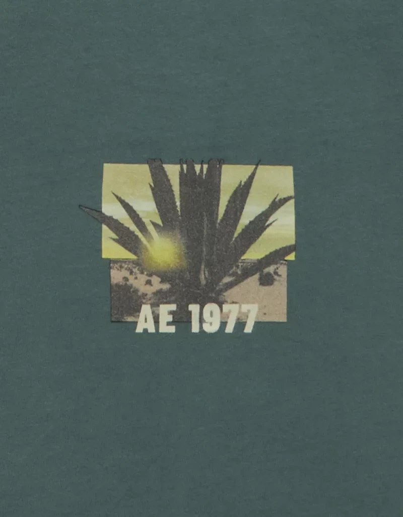 AE Boxy Fit Destination Graphic T-Shirt