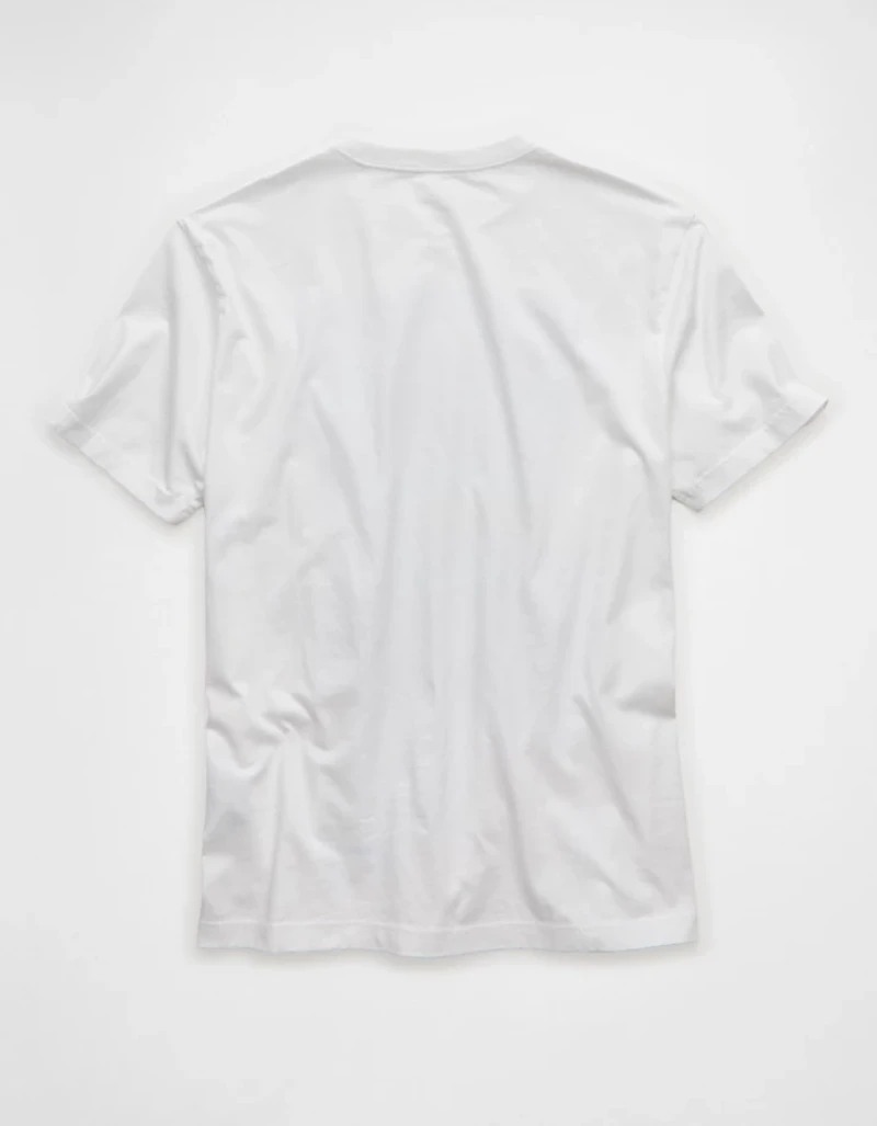 AE Standard Fit Destination Graphic T-Shirt