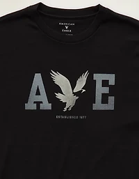 AE Standard Fit Lightweight Logo Graphic T-Shirt