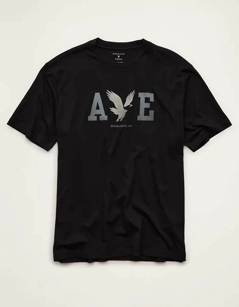 AE Standard Fit Lightweight Logo Graphic T-Shirt