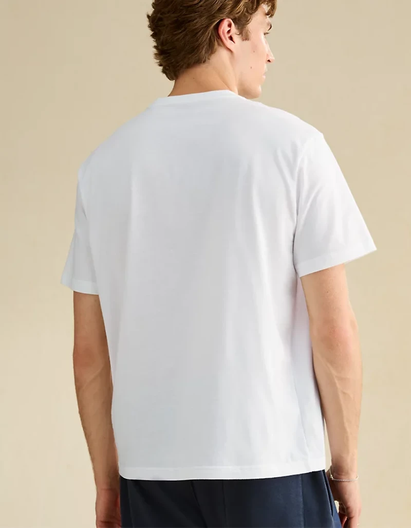 AE Standard Fit Graphic Logo T-Shirt