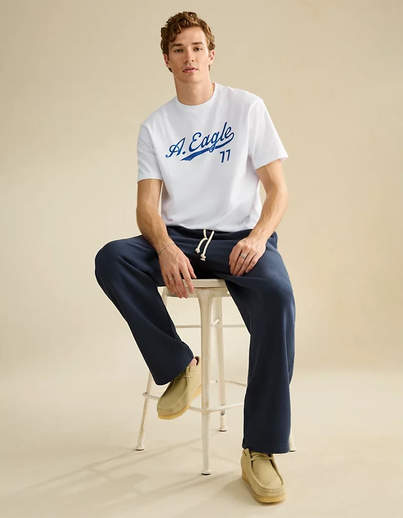 AE Standard Fit Graphic Logo T-Shirt