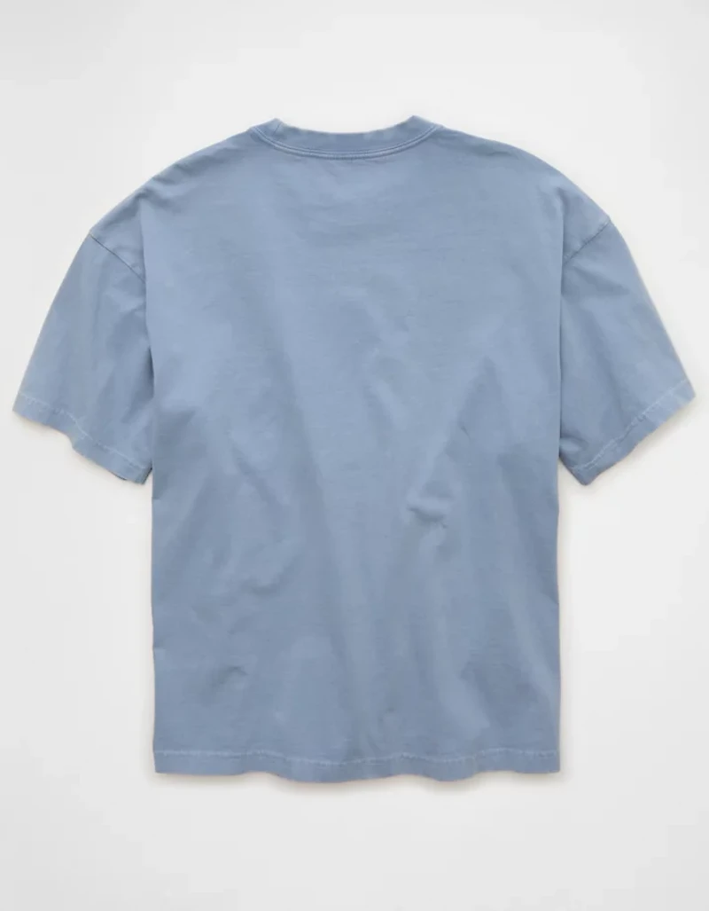 AE Boxy Acadia Nat'l Park Graphic T-Shirt